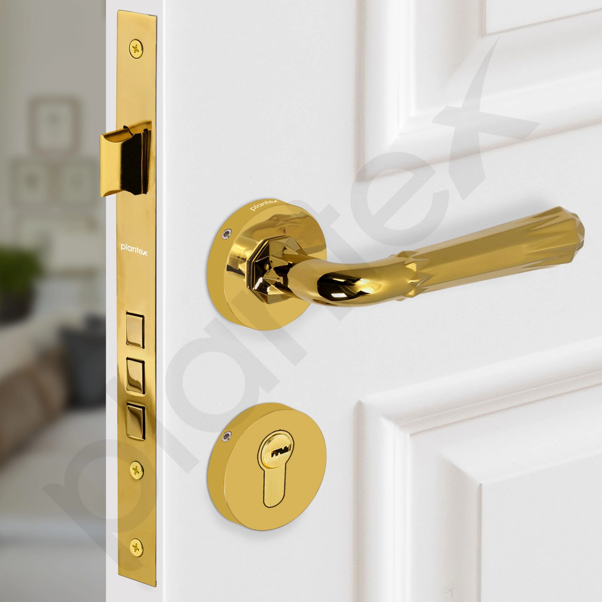Plantex Premium Door Lock with 3 Years of Warranty/Main Door Locks for Home/Mortise Lock Set for Door (7117 - PVD Gold) - Image 6